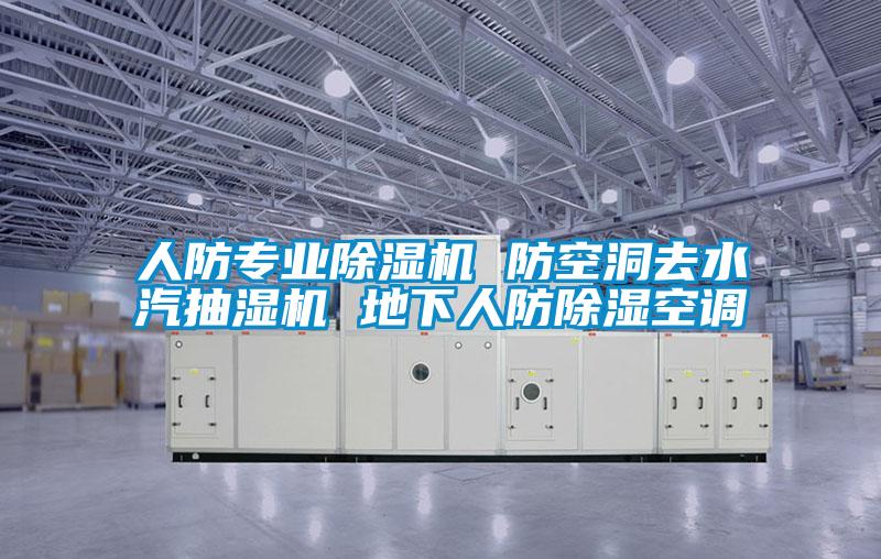 欧美成色手机在线观看 人防专业除湿机 防空洞去水汽抽湿机 地下人防除湿空调
