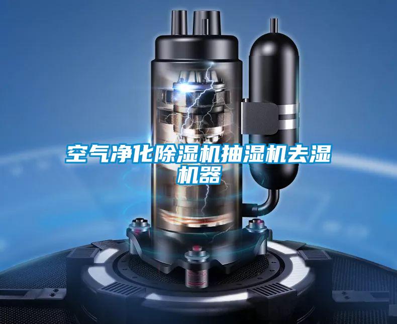 欧美黄色电影在线播放 空气净化除湿机抽湿机去湿机器