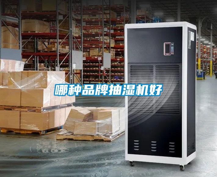 欧美黄色电影在线播放 哪种品牌抽湿机好