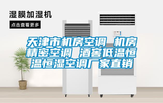 欧美黄色电影在线播放 天津市机房空调 机房精密空调 酒窖低温恒温恒湿空调厂家直销