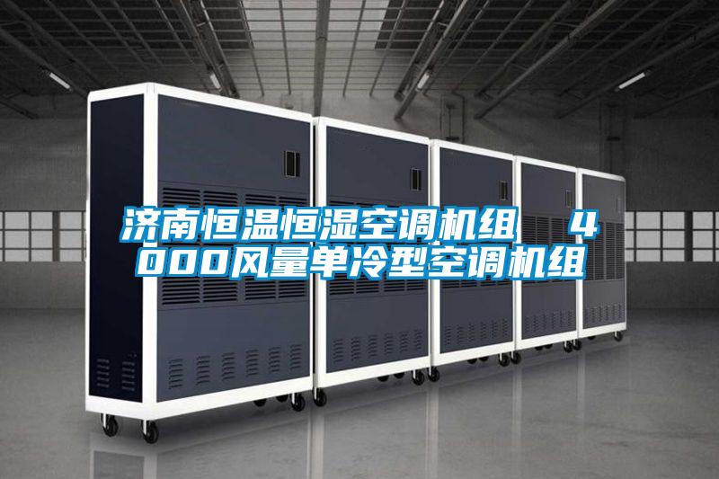 欧美黄色电影在线播放 济南恒温恒湿空调机组  4000风量单冷型空调机组