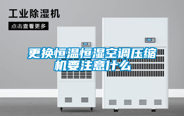 欧美黄色性爱视频网站 更换恒温恒湿空调压缩机要注意什么