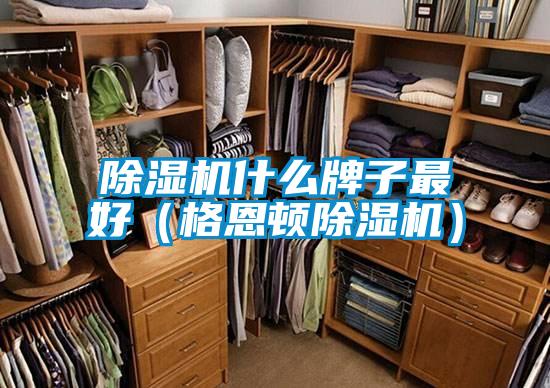 欧美黄色性爱视频网站 除湿机什么牌子最好（格恩顿除湿机）