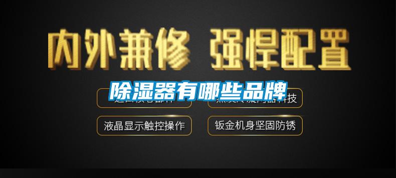 欧美成色手机在线观看 除湿器有哪些品牌