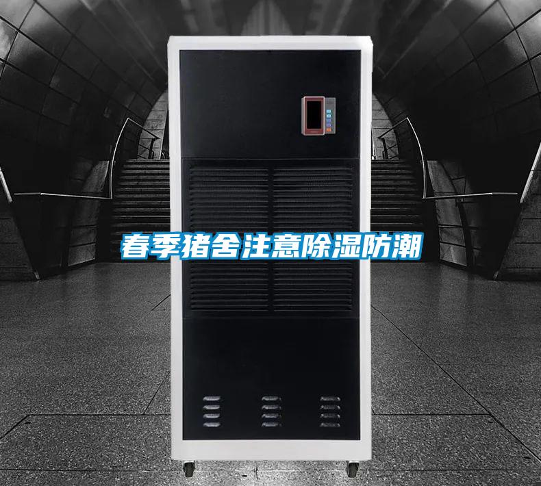 欧美黄色电影在线播放 春季猪舍注意除湿防潮