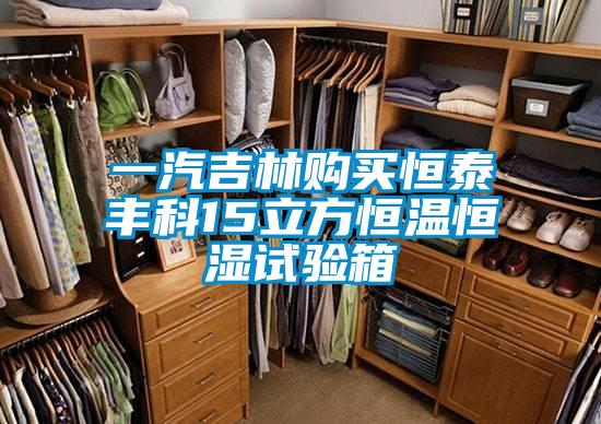 欧美黄色性爱视频网站 一汽吉林购买恒泰丰科15立方恒温恒湿试验箱