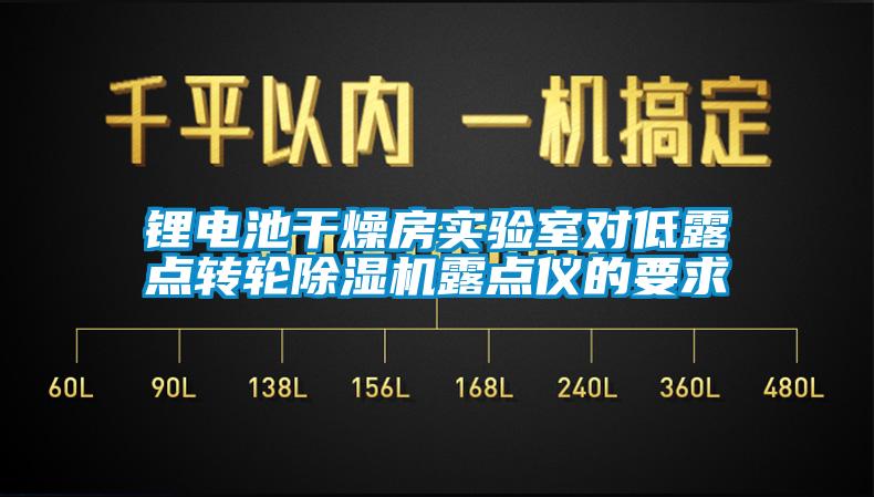 欧美黄色电影在线播放 锂电池干燥房实验室对低露点转轮除湿机露点仪的要求