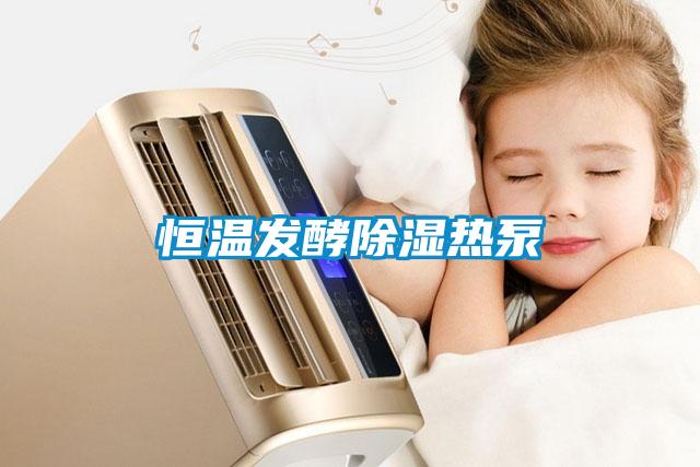 欧美黄色电影在线播放 恒温发酵除湿热泵