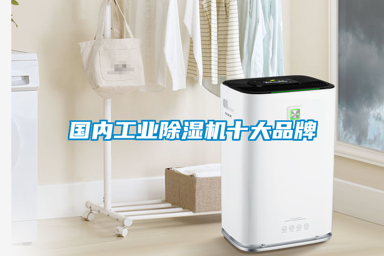 欧美黄色性爱视频网站 国内工业除湿机十大品牌