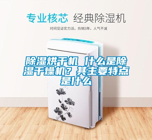 欧美黄色电影在线播放 除湿烘干机 什么是除湿干燥机？其主要特点是什么