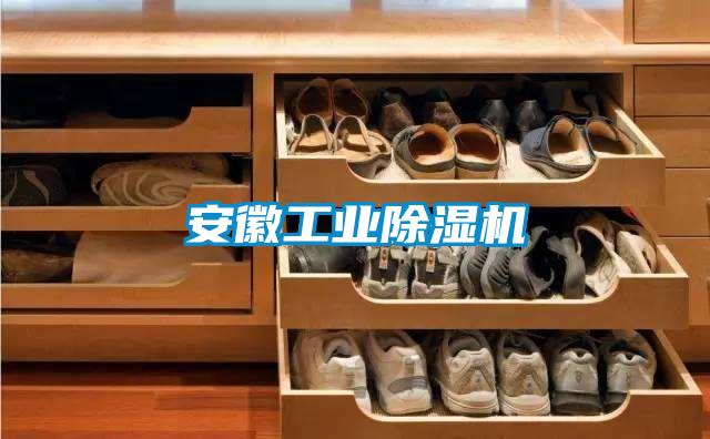 欧美黄色电影在线播放 安徽工业除湿机