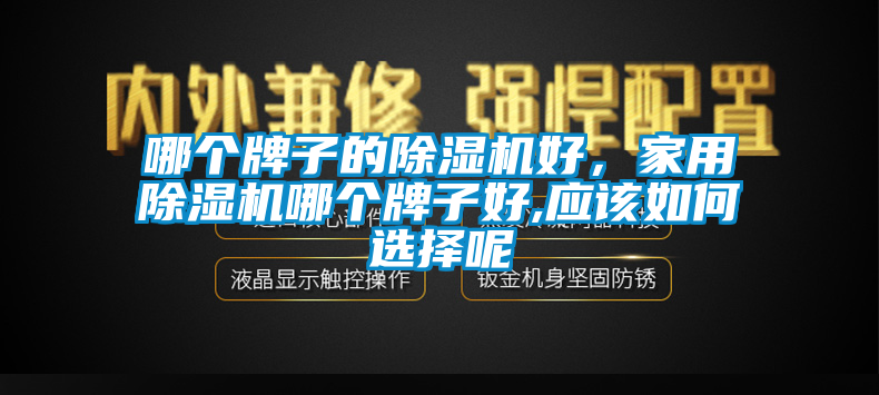 欧美黄色性爱视频网站 哪个牌子的除湿机好，家用除湿机哪个牌子好,应该如何选择呢