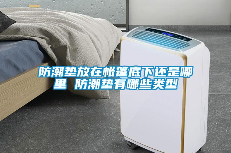 欧美黄色性爱视频网站 防潮垫放在帐篷底下还是哪里 防潮垫有哪些类型