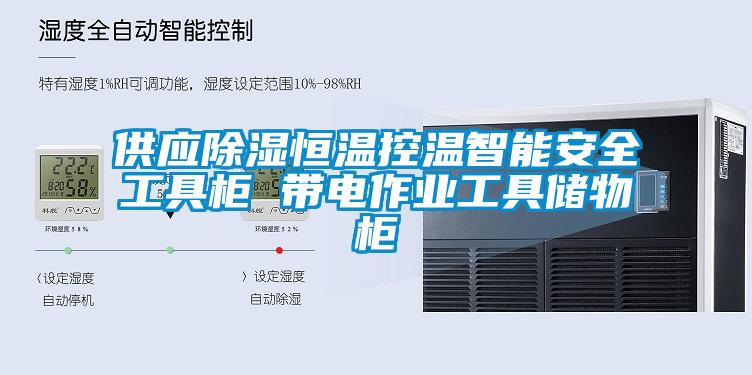 欧美成色手机在线观看 供应除湿恒温控温智能安全工具柜 带电作业工具储物柜