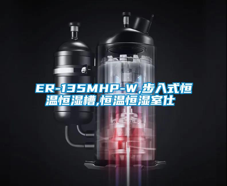 欧美成色手机在线观看 ER-135MHP-W,步入式恒温恒湿槽,恒温恒湿室仕様書