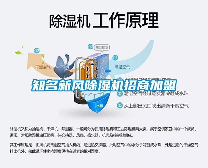 欧美黄色性爱视频网站 知名新风除湿机招商加盟