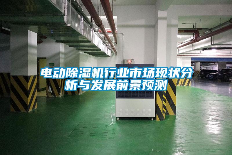 欧美黄色电影在线播放 电动除湿机行业市场现状分析与发展前景预测
