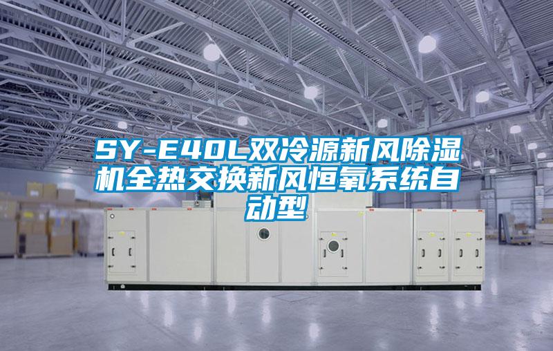 欧美黄色性爱视频网站 SY-E40L双冷源新风除湿机全热交换新风恒氧系统自动型