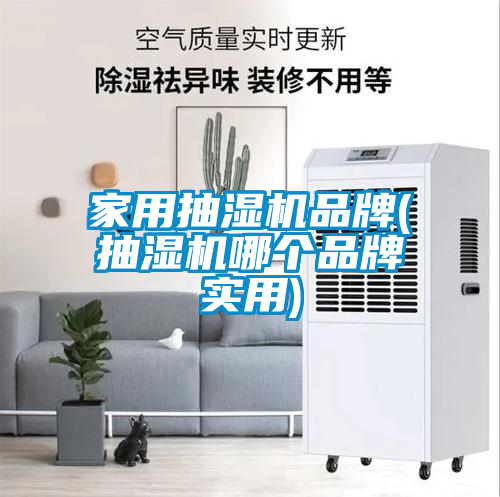 欧美黄色电影在线播放 家用抽湿机品牌(抽湿机哪个品牌实用)
