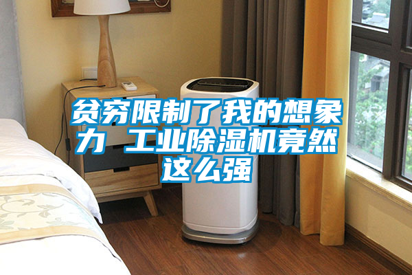 欧美成色手机在线观看 贫穷限制了我的想象力 工业除湿机竟然这么强