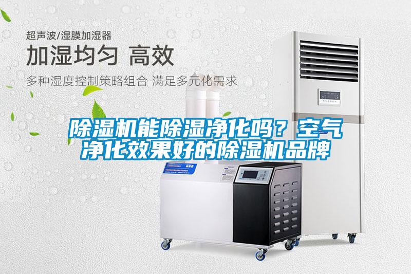 欧美成色手机在线观看 除湿机能除湿净化吗？空气净化效果好的除湿机品牌