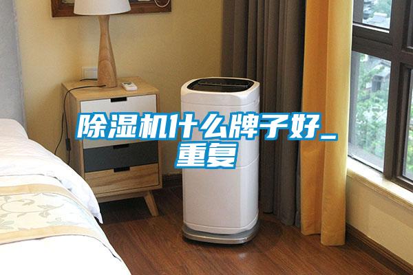 欧美黄色电影在线播放 除湿机什么牌子好_重复