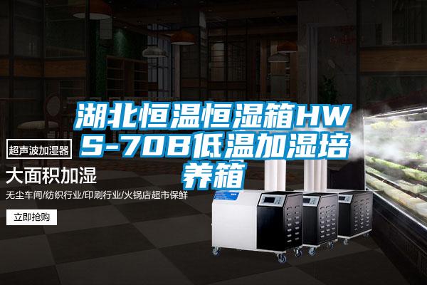 欧美黄色性爱视频网站 湖北恒温恒湿箱HWS-70B低温加湿培养箱
