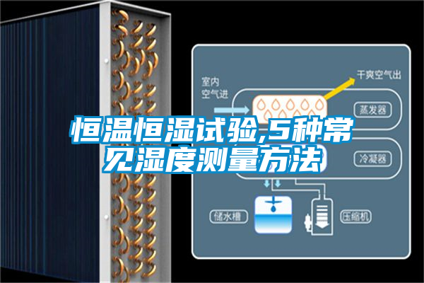 欧美成色手机在线观看 恒温恒湿试验,5种常见湿度测量方法