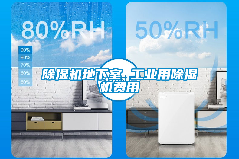 欧美黄色性爱视频网站 除湿机地下室 工业用除湿机费用