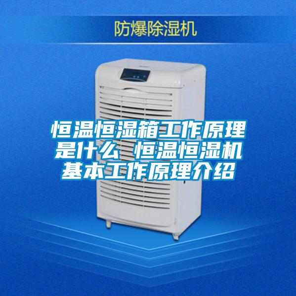 欧美黄色电影在线播放 恒温恒湿箱工作原理是什么 恒温恒湿机基本工作原理介绍