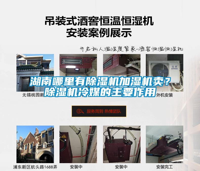 欧美黄色性爱视频网站 湖南哪里有除湿机加湿机卖？除湿机冷媒的主要作用