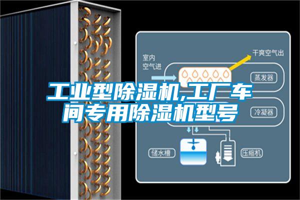欧美成色手机在线观看 工业型除湿机,工厂车间专用除湿机型号