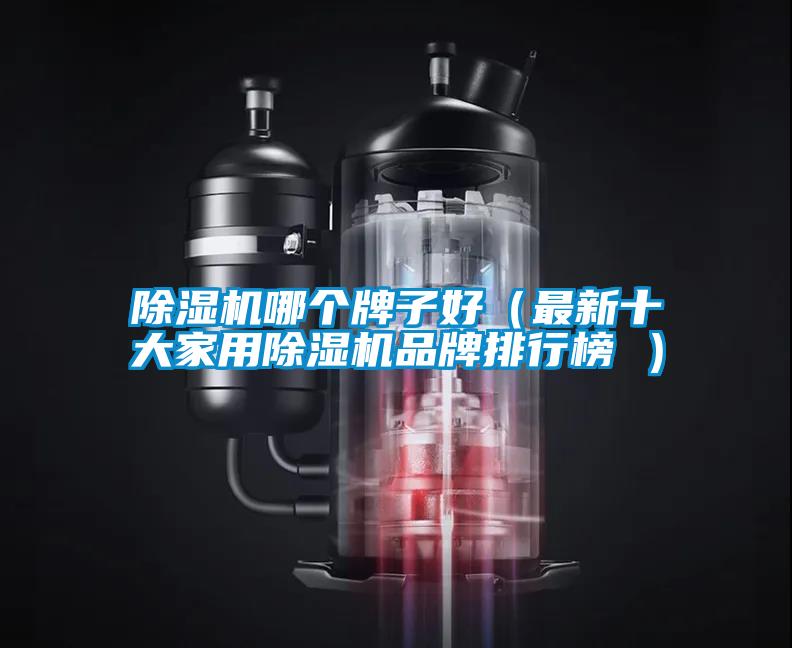 欧美黄色性爱视频网站 除湿机哪个牌子好（最新十大家用除湿机品牌排行榜 ）