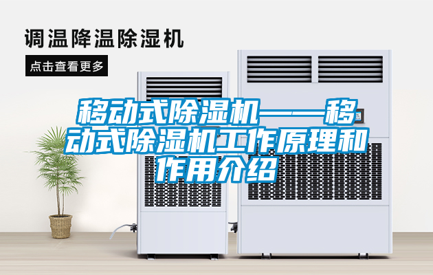 欧美黄色性爱视频网站 移动式除湿机——移动式除湿机工作原理和作用介绍