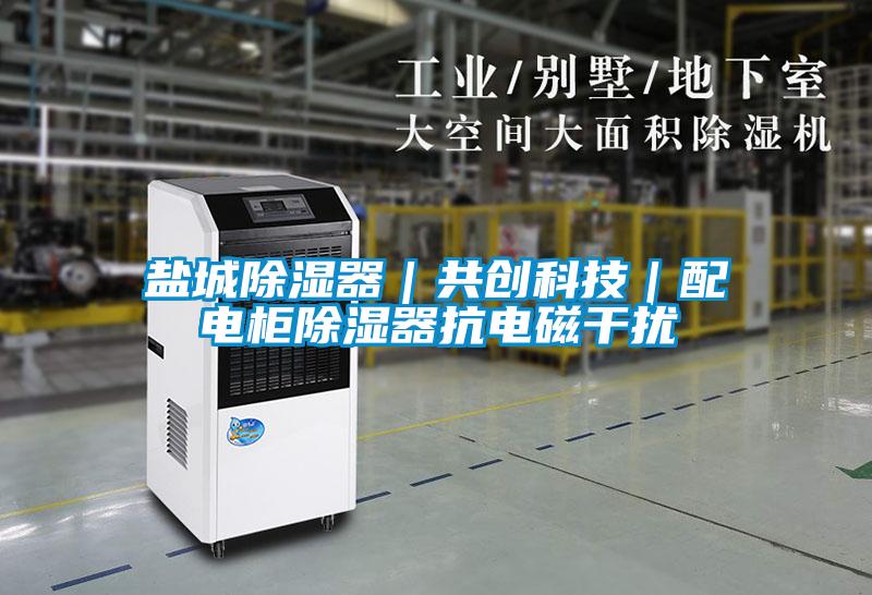 欧美黄色性爱视频网站 盐城除湿器｜共创科技｜配电柜除湿器抗电磁干扰