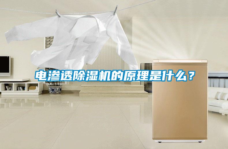 欧美成色手机在线观看 电渗透除湿机的原理是什么？