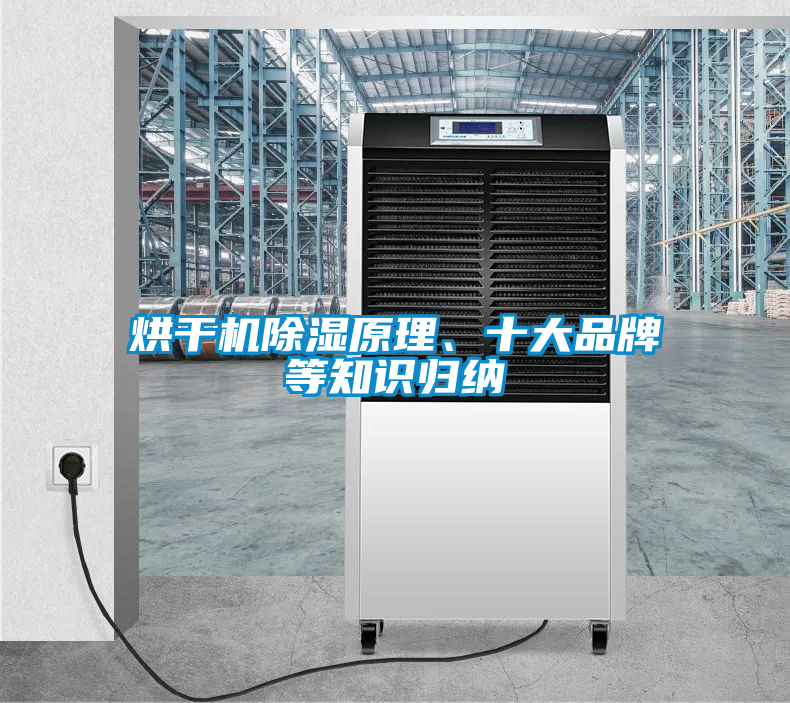 欧美成色手机在线观看 烘干机除湿原理、十大品牌等知识归纳