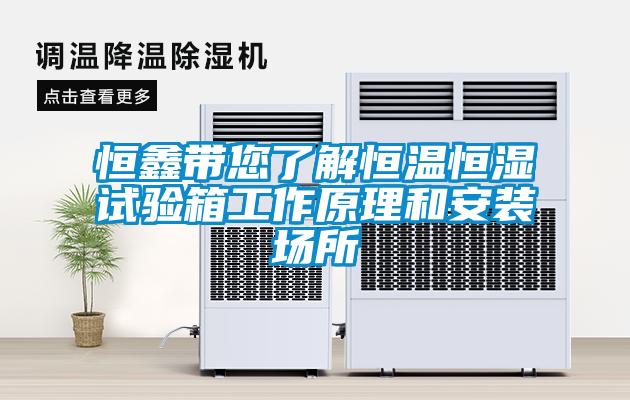 欧美黄色电影在线播放 恒鑫带您了解恒温恒湿试验箱工作原理和安装场所