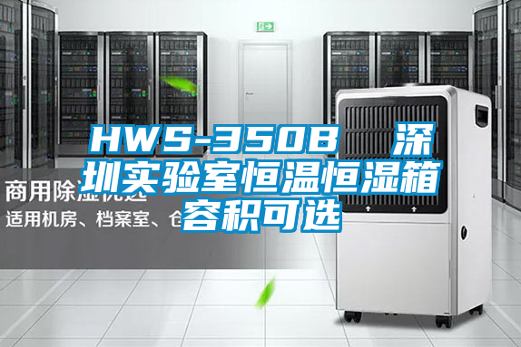 欧美黄色性爱视频网站 HWS-350B  深圳实验室恒温恒湿箱容积可选