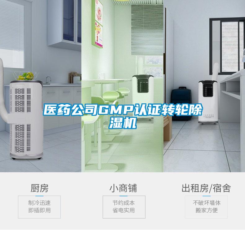 欧美黄色性爱视频网站 医药公司GMP认证转轮除湿机