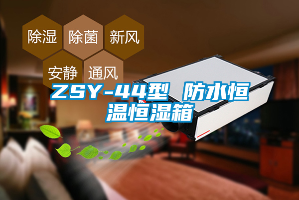 欧美黄色电影在线播放 ZSY-44型 防水恒温恒湿箱