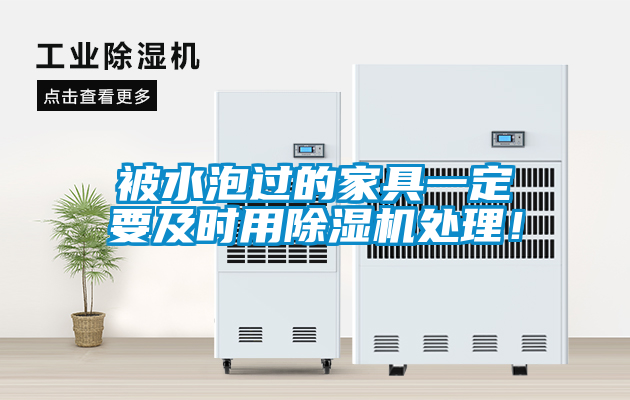 欧美黄色性爱视频网站 被水泡过的家具一定要及时用除湿机处理！
