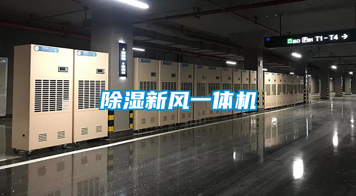 欧美黄色性爱视频网站 除湿新风一体机