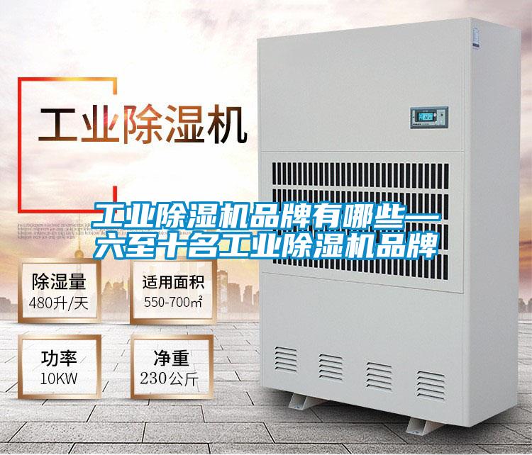 欧美成色手机在线观看 工业除湿机品牌有哪些—六至十名工业除湿机品牌