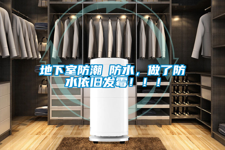 欧美黄色性爱视频网站 地下室防潮≠防水，做了防水依旧发霉！！！