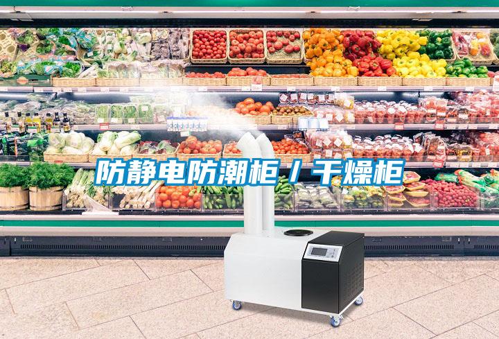 欧美黄色电影在线播放 防静电防潮柜／干燥柜