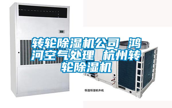 欧美黄色性爱视频网站 转轮除湿机公司 鸿河空气处理 杭州转轮除湿机
