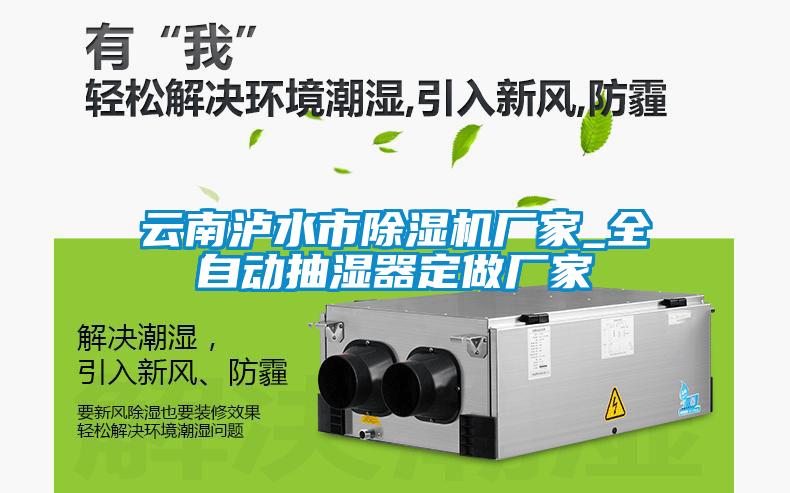 欧美黄色性爱视频网站 云南泸水市除湿机厂家_全自动抽湿器定做厂家