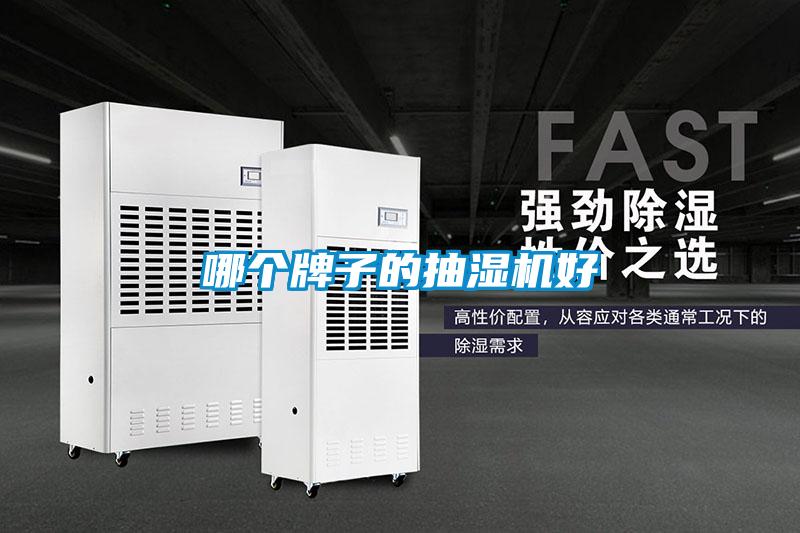欧美黄色电影在线播放 哪个牌子的抽湿机好