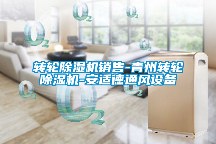 欧美黄色性爱视频网站 转轮除湿机销售-青州转轮除湿机-安适德通风设备